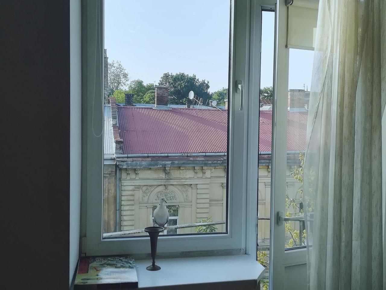Valentine Apartment Λβιβ Εξωτερικό φωτογραφία